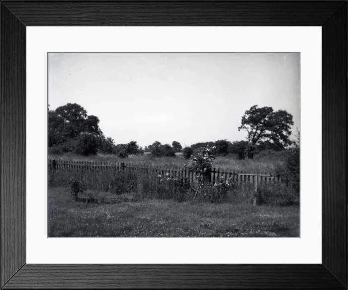 Framed Print : Countryside Scene, Hullbridge, Essex Framed Print : Countryside Scene, Hullbridge, Essex