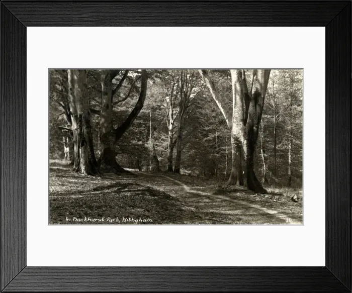 Framed Print : Buckhurst Park, Withyham, Sussex Framed Print : Buckhurst Park, Withyham, Sussex