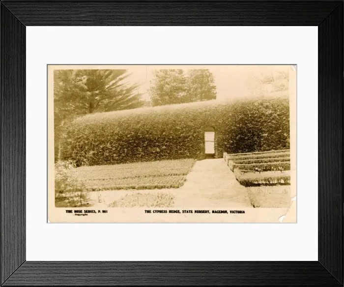 Framed Print : The State Nursery, Macedon, Victoria Framed Print : The State Nursery, Macedon, Victoria
