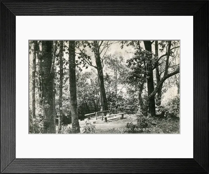 Framed Print : Picnic Bend - Mount Macedon, Macedon, Victoria Framed Print : Picnic Bend - Mount Macedon, Macedon, Victoria