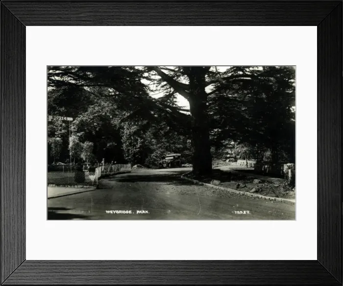 Framed Print : The Park, Weybridge, Surrey Framed Print : The Park, Weybridge, Surrey