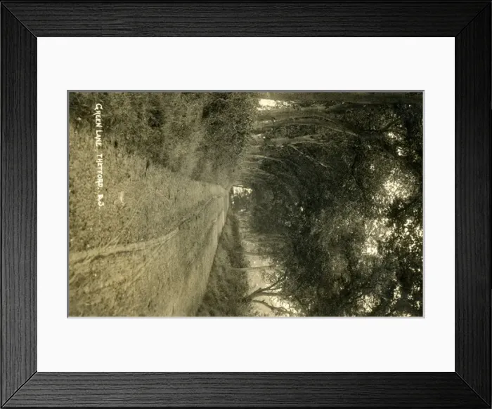 Framed Print : Green Lane, Thetford, Norfolk Framed Print : Green Lane, Thetford, Norfolk