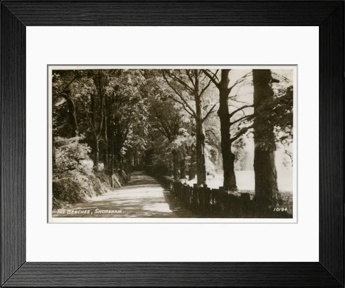 Framed Print : The Beeches, Shoreham, Kent Framed Print : The Beeches, Shoreham, Kent