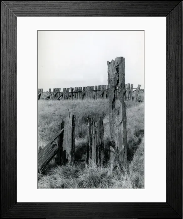 Framed Print : Wooden Snow Fence, Dent, Cumbria Framed Print : Wooden Snow Fence, Dent, Cumbria