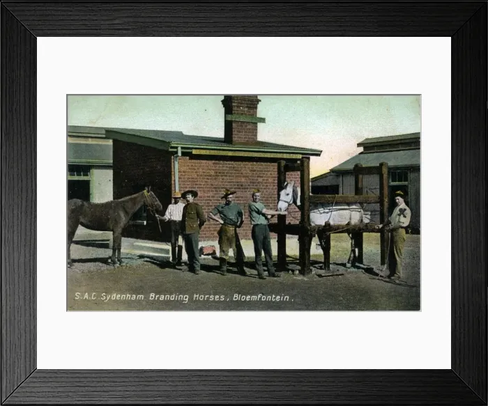 Framed Print : South Africa - SAC Sydenham, Bloemfontein Framed Print : South Africa - SAC Sydenham, Bloemfontein