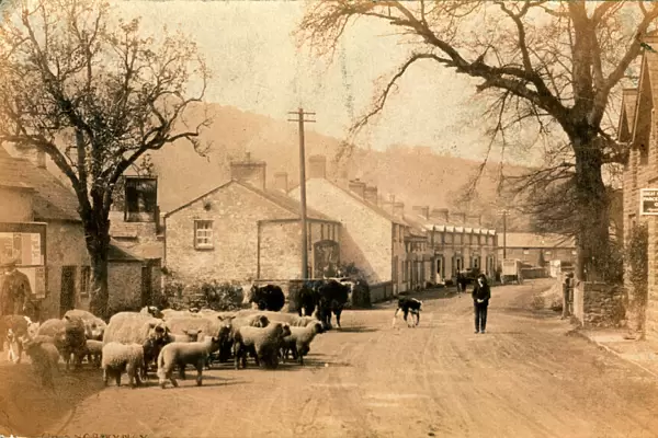 The Village, Glangrwyney, Crickhowell, Wales