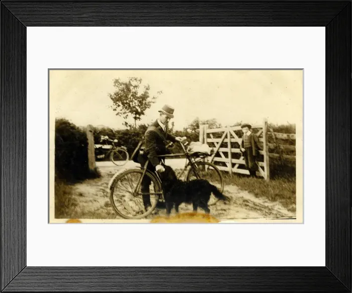 Framed Print : Mr Wasss Dog Fetching the Letters, Norton Disney, Lincoln Framed Print : Mr Wasss Dog Fetching the Letters, Norton Disney, Lincoln
