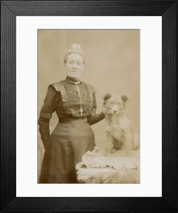 Framed Print : Studio portrait, middle aged woman with terrier Framed Print : Studio portrait, middle aged woman with terrier