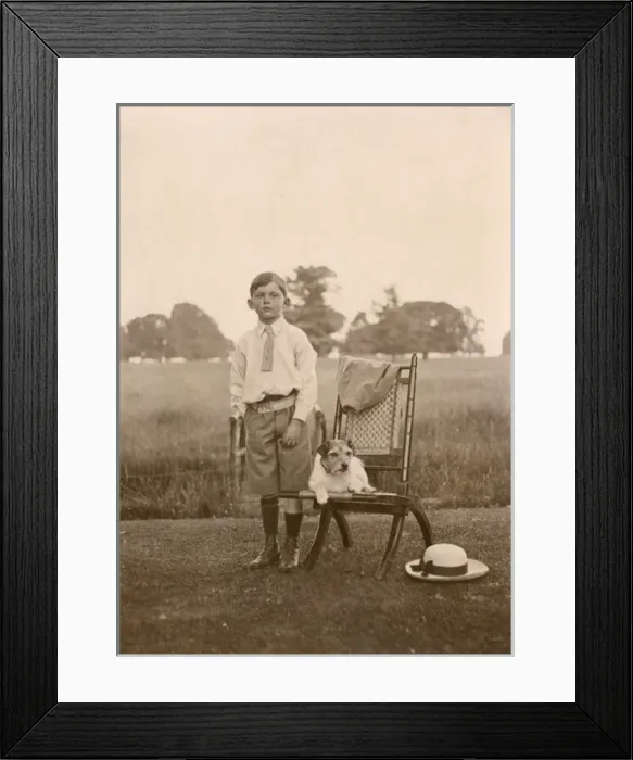 Framed Print : Boy with a terrier dog in a garden Framed Print : Boy with a terrier dog in a garden