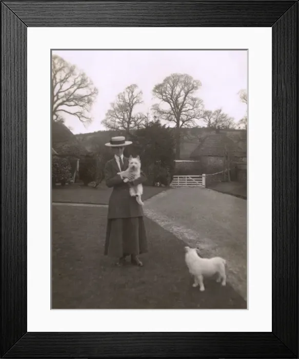 Framed Print : Woman with two dogs in a garden Framed Print : Woman with two dogs in a garden