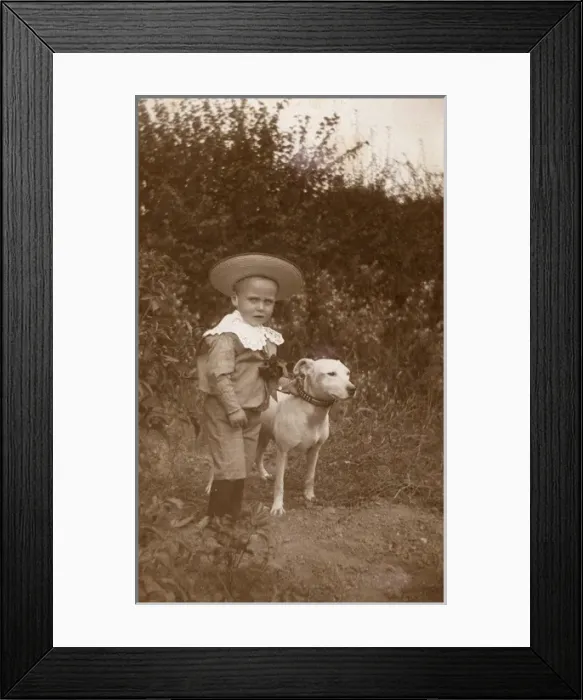 Framed Print : Little boy with a bull terrier in a garden Framed Print : Little boy with a bull terrier in a garden
