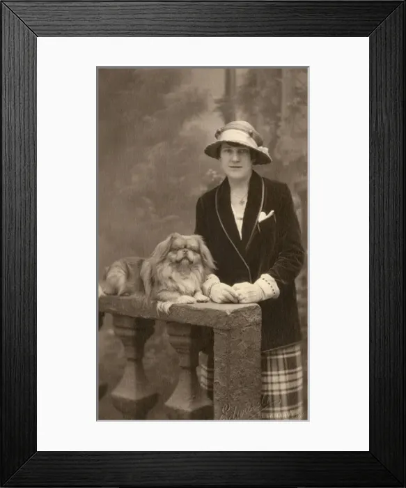 Framed Print : Studio portrait, woman with Pekingese dog Framed Print : Studio portrait, woman with Pekingese dog