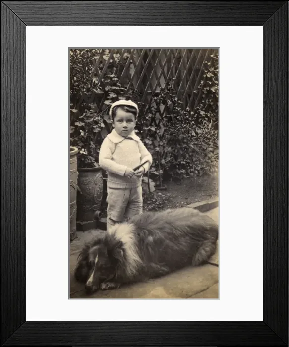 Framed Print : Little boy with large dog in a garden Framed Print : Little boy with large dog in a garden