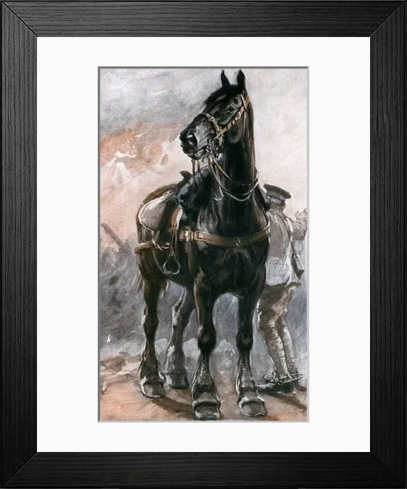 Framed Print : The Horse in War by Philip Dadd Framed Print : The Horse in War by Philip Dadd