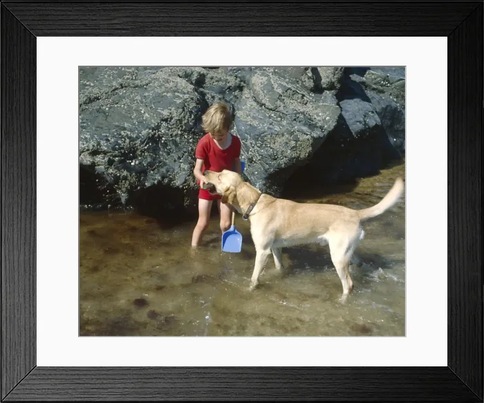 Framed Print : Little boy and dog in pool of water, West Country Framed Print : Little boy and dog in pool of water, West Country