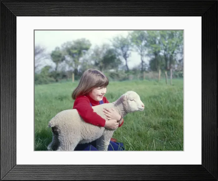 Framed Print : Girl with a spring lamb, West Country Framed Print : Girl with a spring lamb, West Country