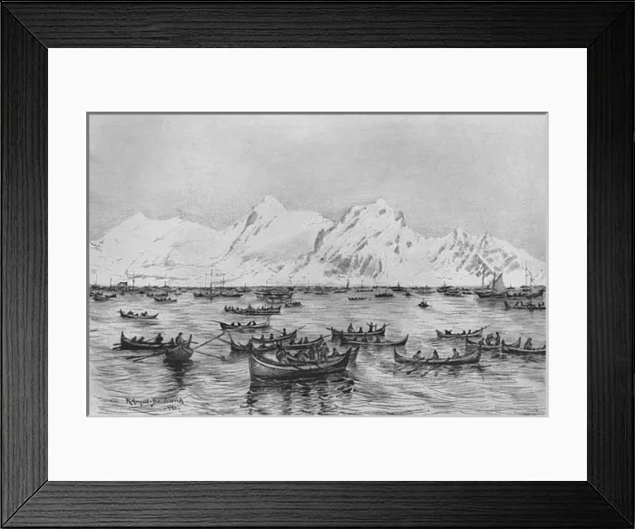 Framed Print : Cod fishing off the Lofoten Islands, Norway 1896 Framed Print : Cod fishing off the Lofoten Islands, Norway 1896