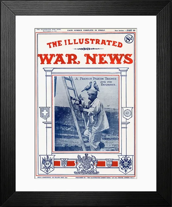 Framed Print : French Pigeon Trainer, Illustrated War News, WW1 Framed Print : French Pigeon Trainer, Illustrated War News, WW1