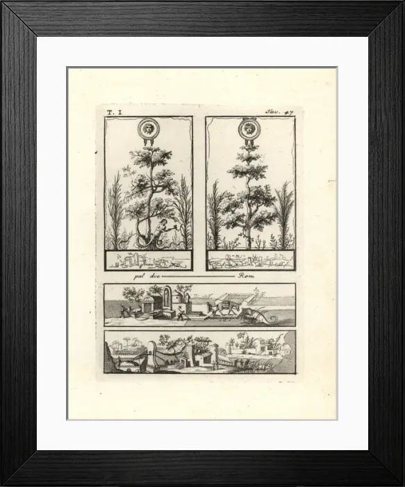 Framed Print : Vignettes from walls in rooms in Pompeii Framed Print : Vignettes from walls in rooms in Pompeii