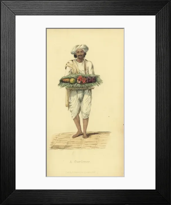 Framed Print : Indian gardener in jacket and turban of white cotton Framed Print : Indian gardener in jacket and turban of white cotton
