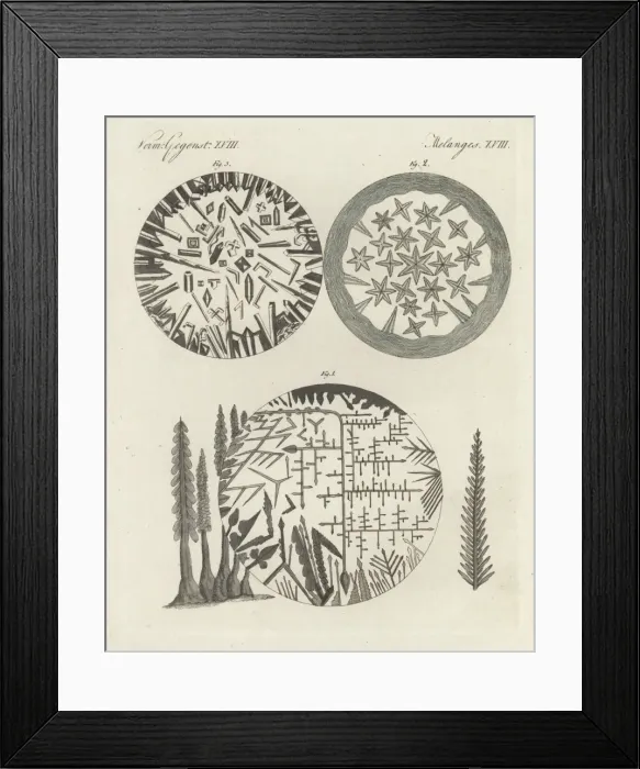 Framed Print : Crystals of silver solution and Dianas tree Framed Print : Crystals of silver solution and Dianas tree