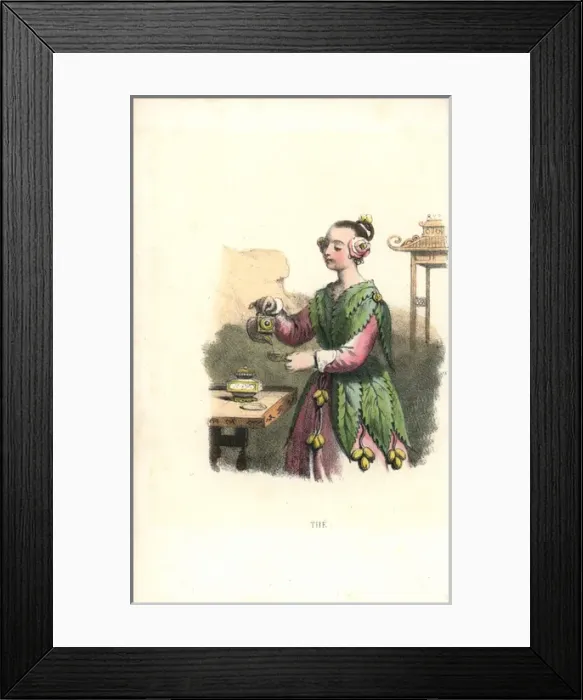 Framed Print : Tea flower fairy, Camellia sinensis, pouring a cup of tea Framed Print : Tea flower fairy, Camellia sinensis, pouring a cup of tea