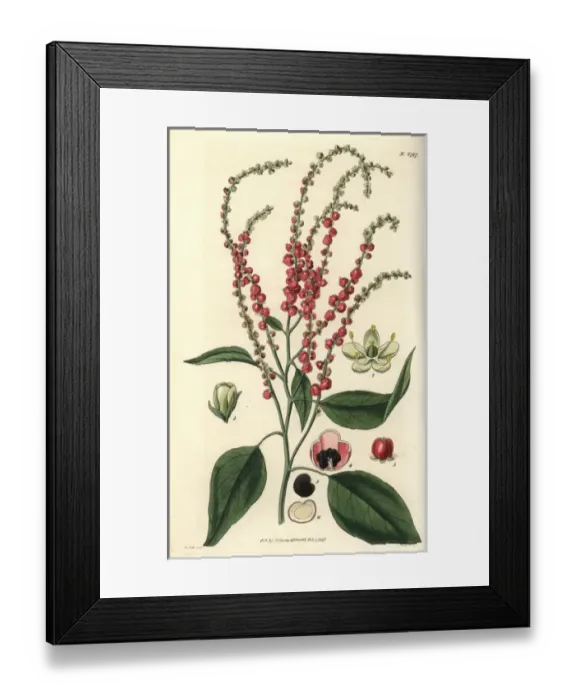 Framed Print : history, historical Framed Print : history, historical