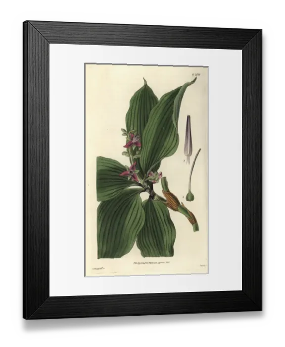 Framed Print : history, historical Framed Print : history, historical