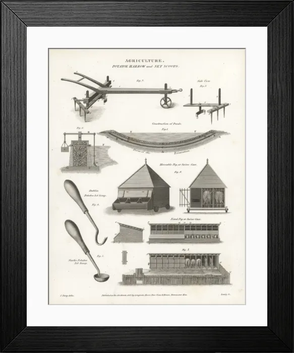 Framed Print : Potato harrow, set scoops and swine cases Framed Print : Potato harrow, set scoops and swine cases