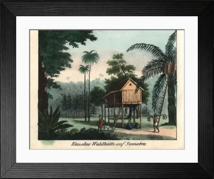Framed Print : Raised wooden house in tropical jungle, Sumatra Framed Print : Raised wooden house in tropical jungle, Sumatra