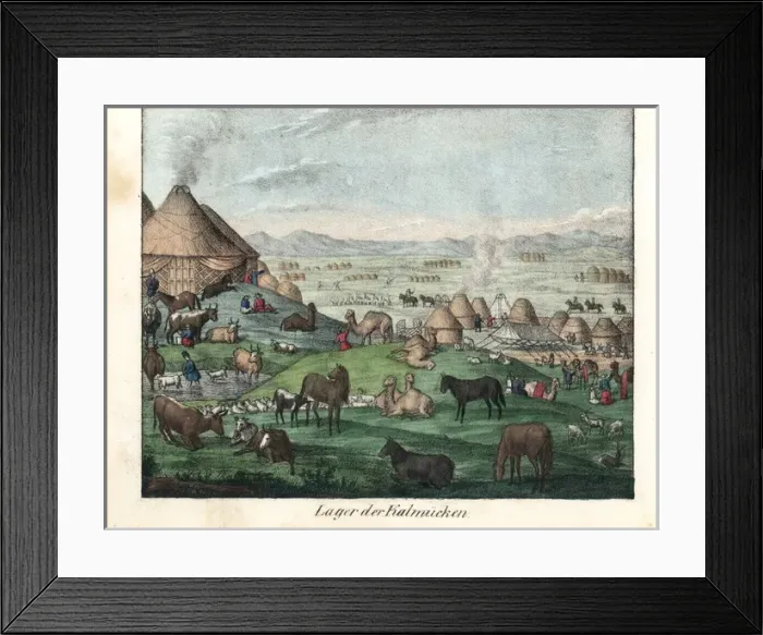 Framed Print : Kalmyk village showing ghers and camels, horses Framed Print : Kalmyk village showing ghers and camels, horses