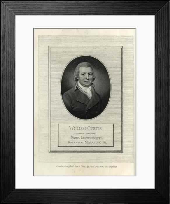 Framed Print : William Curtis, author of the Flora Londinensis Framed Print : William Curtis, author of the Flora Londinensis