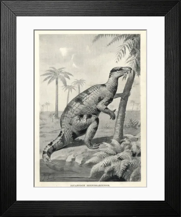 Framed Print : Iguanodon bernissartensis Framed Print : Iguanodon bernissartensis