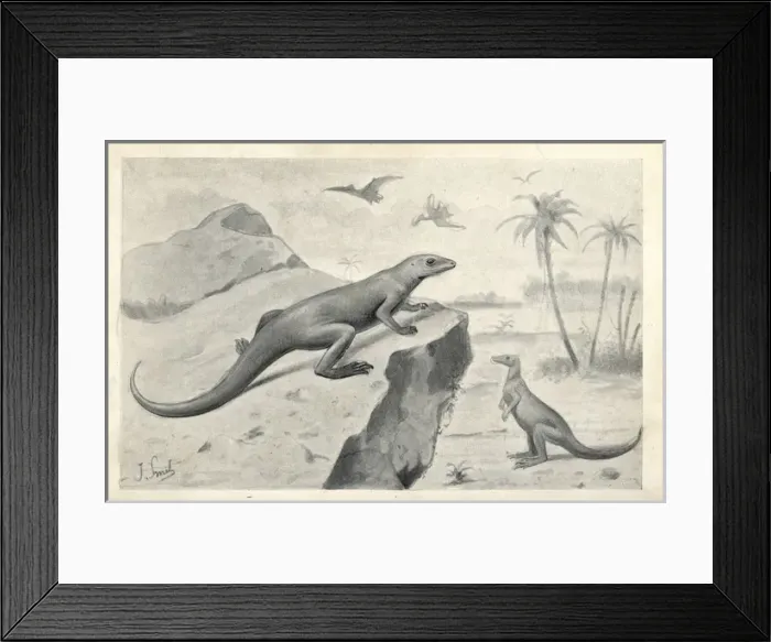 Framed Print : Hypsilophodon foxii dinosaurs and flying pterodactyls Framed Print : Hypsilophodon foxii dinosaurs and flying pterodactyls