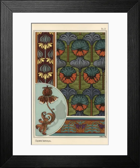 Framed Print : Crown imperial flower, Fritillaria imperialis Framed Print : Crown imperial flower, Fritillaria imperialis