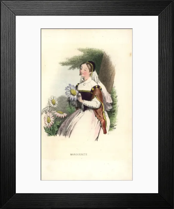 Framed Print : Marguerite daisy flower fairy, Argyranthemum frutescens Framed Print : Marguerite daisy flower fairy, Argyranthemum frutescens