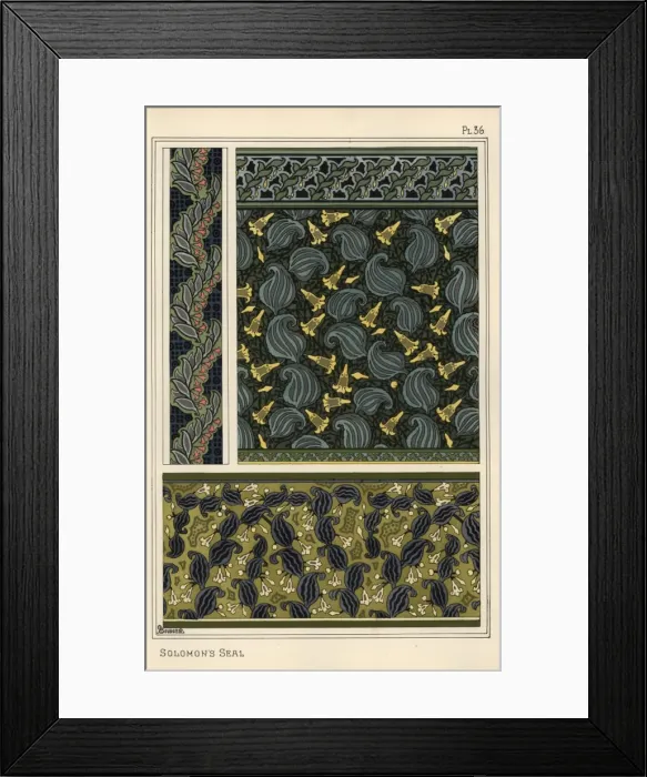 Framed Print : Solomons seal, Polygonatum multiflorum, as Framed Print : Solomons seal, Polygonatum multiflorum, as