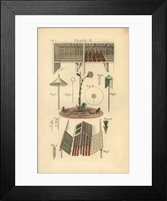 Framed Print : Gardening tools and equipment, circa 1800 Framed Print : Gardening tools and equipment, circa 1800