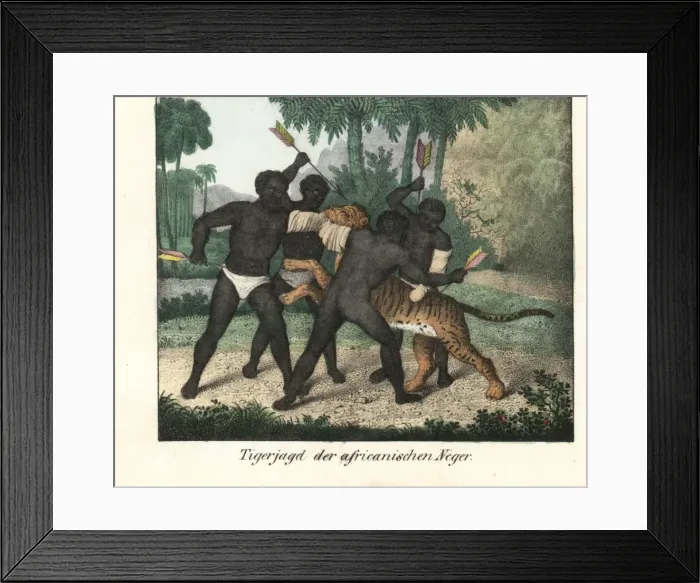Framed Print : African natives killing a tiger by stabbing it with arrows Framed Print : African natives killing a tiger by stabbing it with arrows
