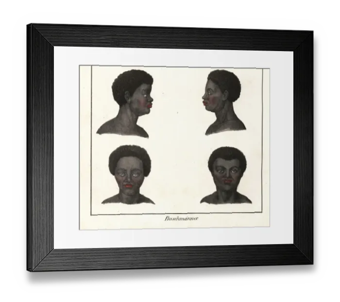 Framed Print : Heads of San men, South Africa, from the front Framed Print : Heads of San men, South Africa, from the front