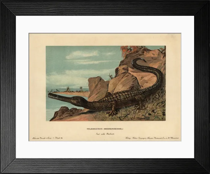 Framed Print : Teleosaurus, extinct crocodilian carnivore Framed Print : Teleosaurus, extinct crocodilian carnivore