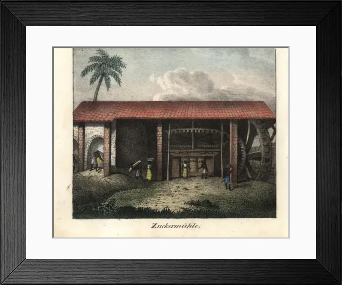 Framed Print : Slaves bringing sugar cane to a sugar mill Framed Print : Slaves bringing sugar cane to a sugar mill