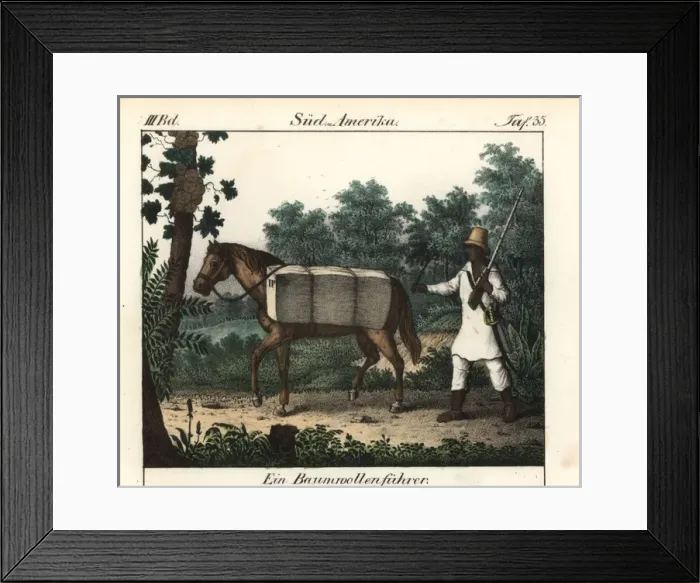 Framed Print : Brazilian farmer riding a horse loaded with Framed Print : Brazilian farmer riding a horse loaded with