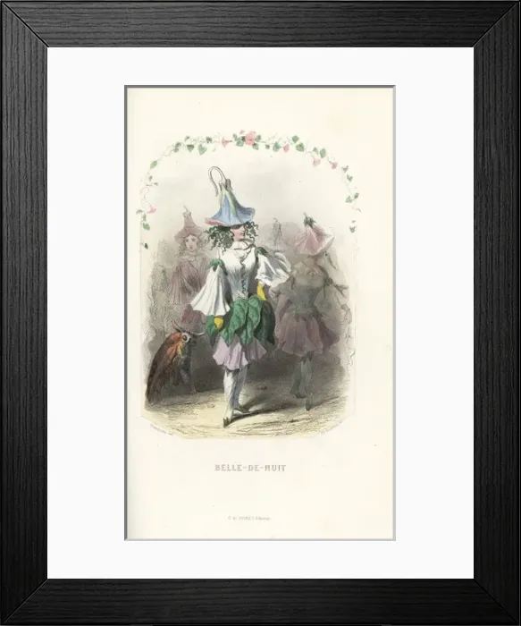 Framed Print : Marvel of Peru flower fairy, Mirabilis jalapa Framed Print : Marvel of Peru flower fairy, Mirabilis jalapa