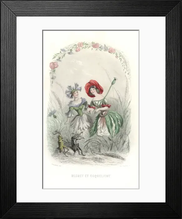 Framed Print : Cornflower and poppy flower fairies Framed Print : Cornflower and poppy flower fairies