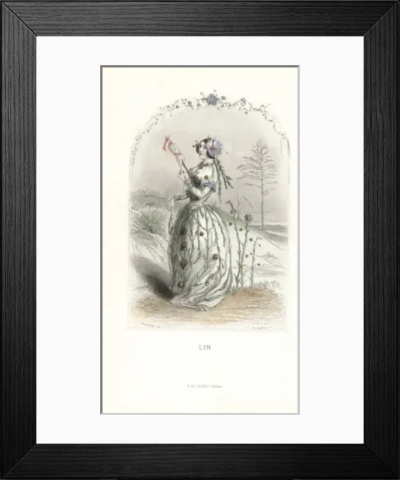 Framed Print : Flax flower fairy, Linum usitatissimum, spinning linen yarn Framed Print : Flax flower fairy, Linum usitatissimum, spinning linen yarn