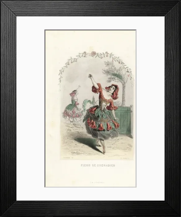 Framed Print : Pomegranate flower fairy, Punica granatum Framed Print : Pomegranate flower fairy, Punica granatum