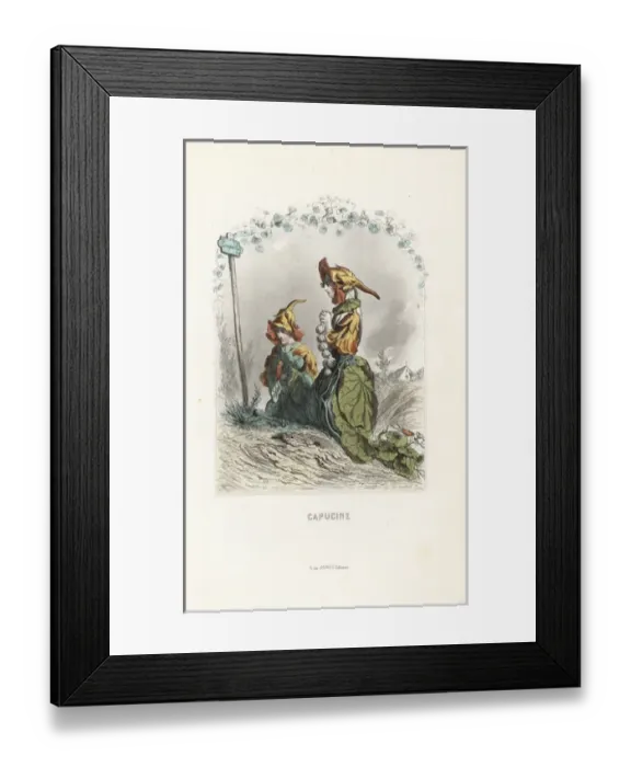 Framed Print : Garden nasturtium flower fairy, Tropaeolum majus Framed Print : Garden nasturtium flower fairy, Tropaeolum majus