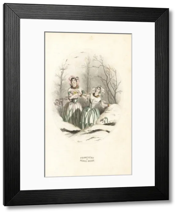 Framed Print : Snowdrop and cowslip flower fairies Framed Print : Snowdrop and cowslip flower fairies
