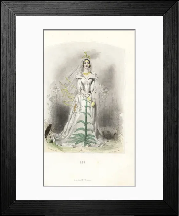 Framed Print : Lily flower fairy in white dress with veil Framed Print : Lily flower fairy in white dress with veil